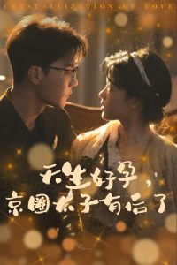 �������о�Ȧ̫���к���