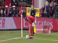 ���ܱ������ֱ��� ŵ����ɭ��VS����˹ά�� 20250304