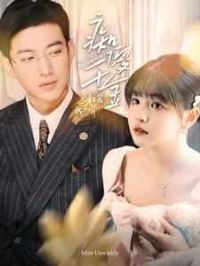 ��ɵǧ������������