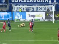 ¼ RBVS˹ͼ 20251101