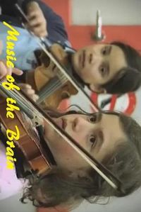 ���Ե�����