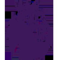 Ӣ�� ɣ����vs��˹��ά��20250921